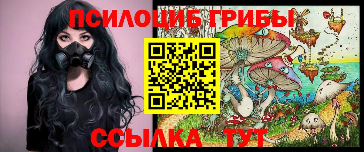 Псилоцибиновые грибы GOLDEN TEACHER  Вход с VPN  Малоярославец 