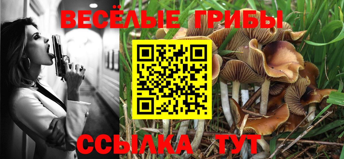Галлюциногенные грибы GOLDEN TEACHER Малоярославец